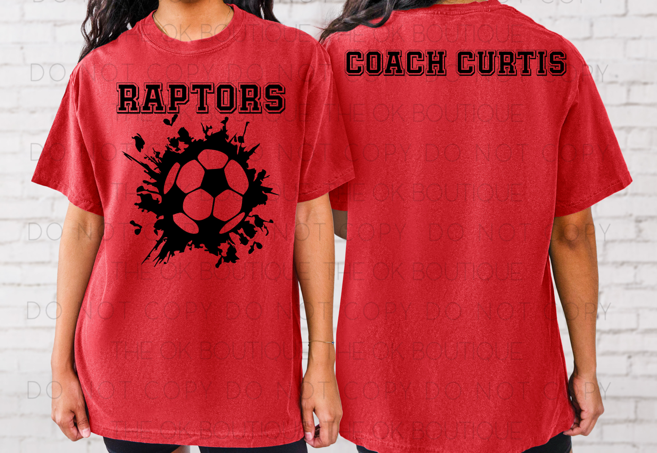 Raptors